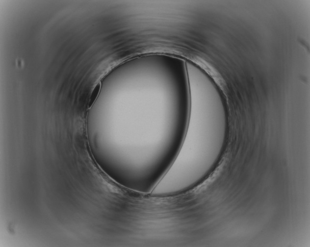 X0000091880993200709051011