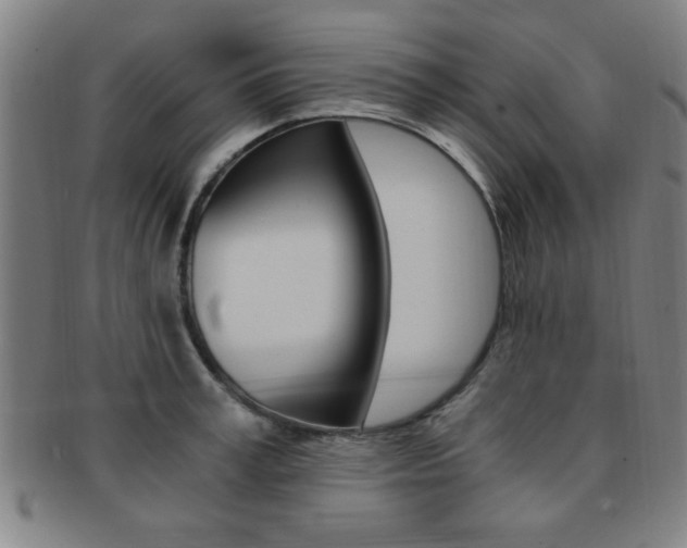 X0000091880995200709051011