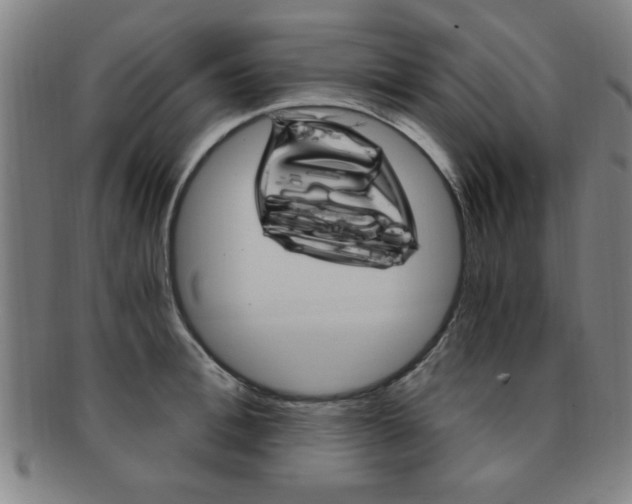 X0000091880996200709051011