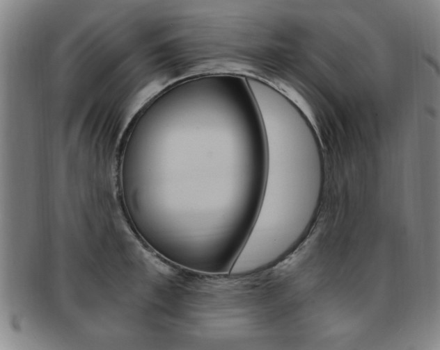 X0000091880997200709051011