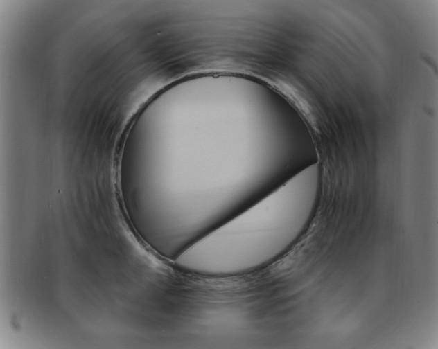 X0000091880998200709051011