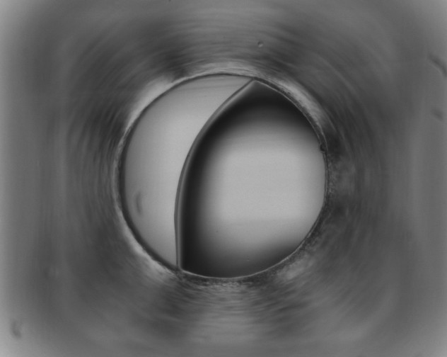 X0000091880999200709051011