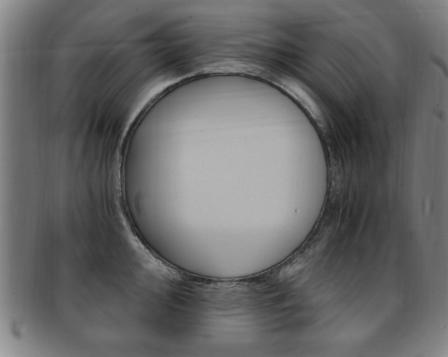 X0000091881000200709051011