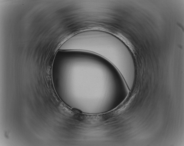 X0000091881001200709051011