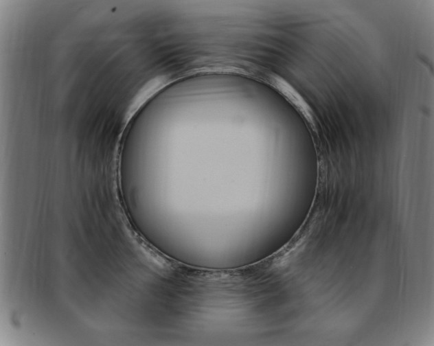 X0000091881002200709051011