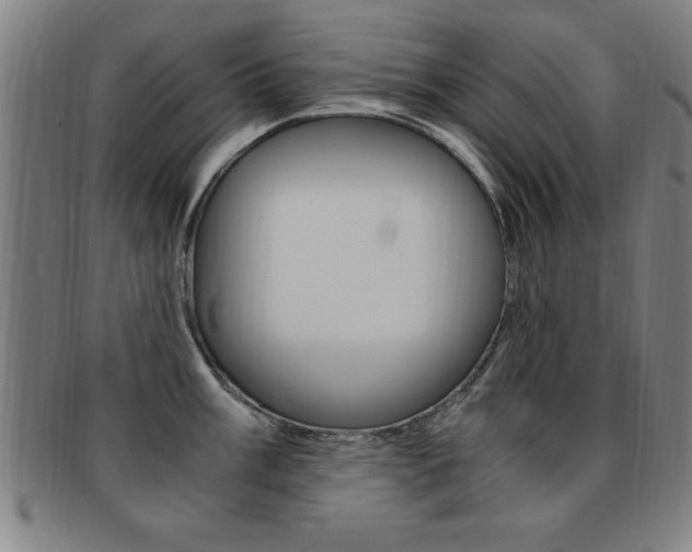 X0000091881003200709051011