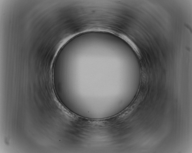 X0000091881004200709051011