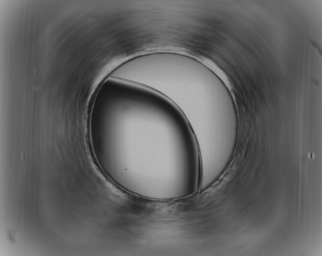 X0000091881005200709051011