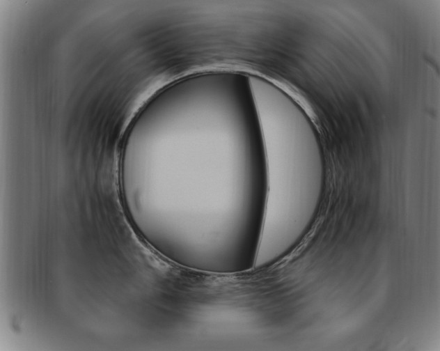 X0000091881006200709051011