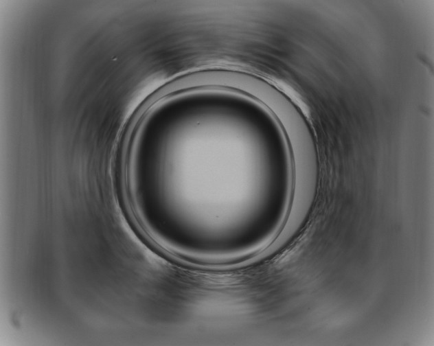 X0000091881007200709051011