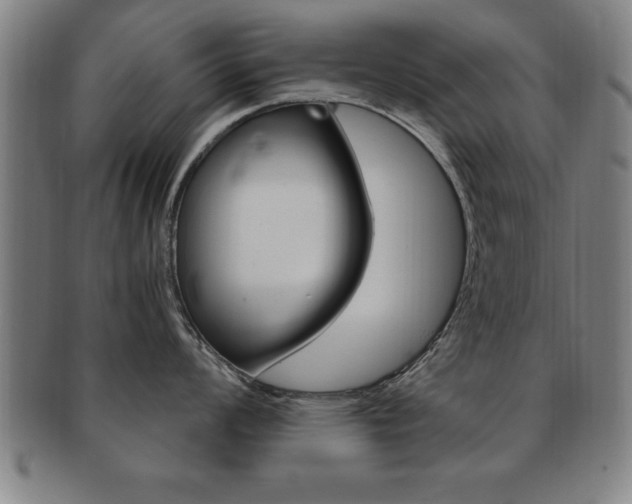 X0000091881008200709051011