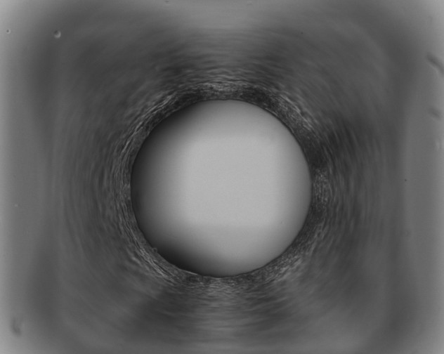 X0000091881009200709051010