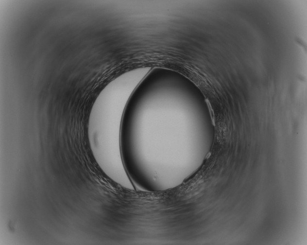 X0000091881010200709051010