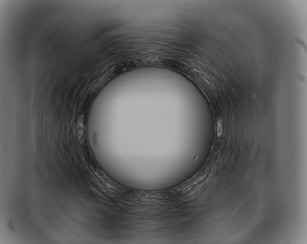 X0000091881011200709051010
