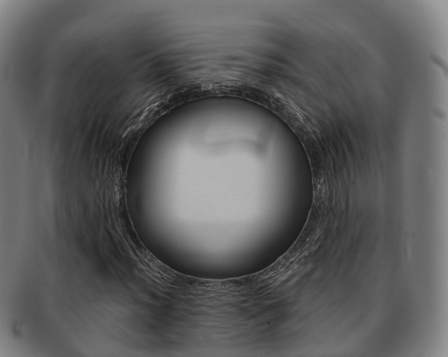 X0000091881012200709051010