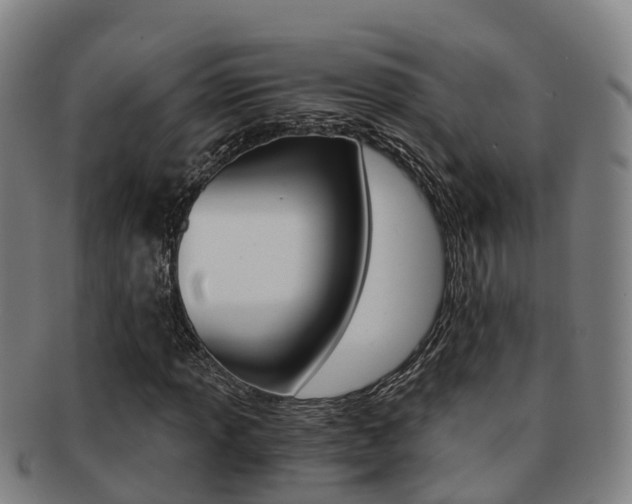 X0000091881013200709051010