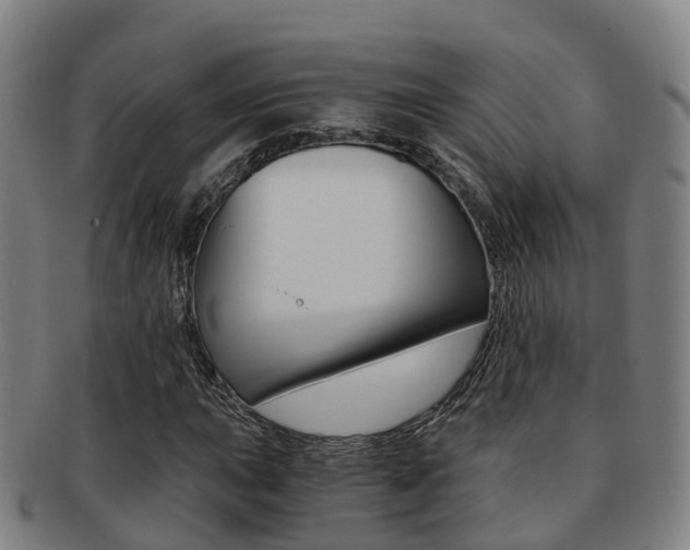 X0000091881015200709051010