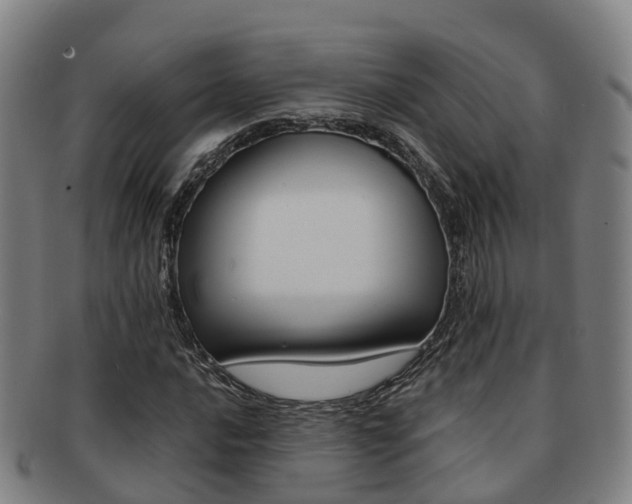 X0000091881016200709051010