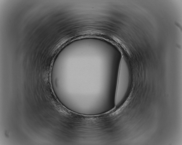 X0000091881017200709051010