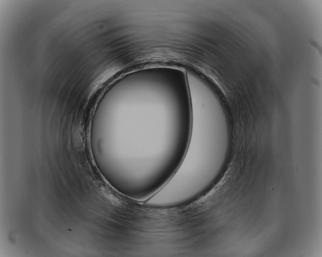 X0000091881018200709051010