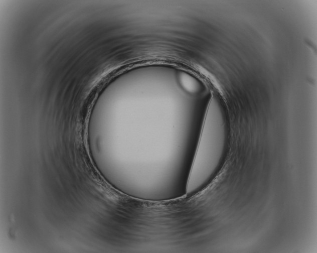 X0000091881019200709051010