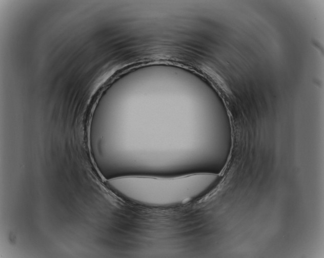 X0000091881023200709051010