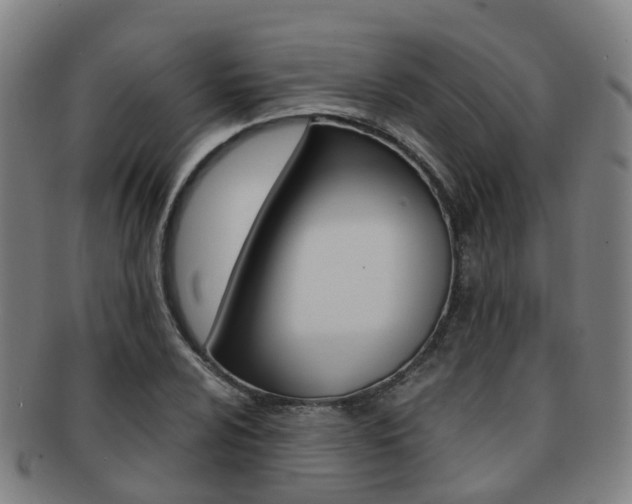 X0000091881024200709051011