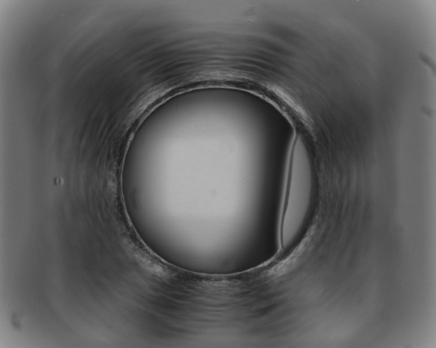 X0000091881025200709051011