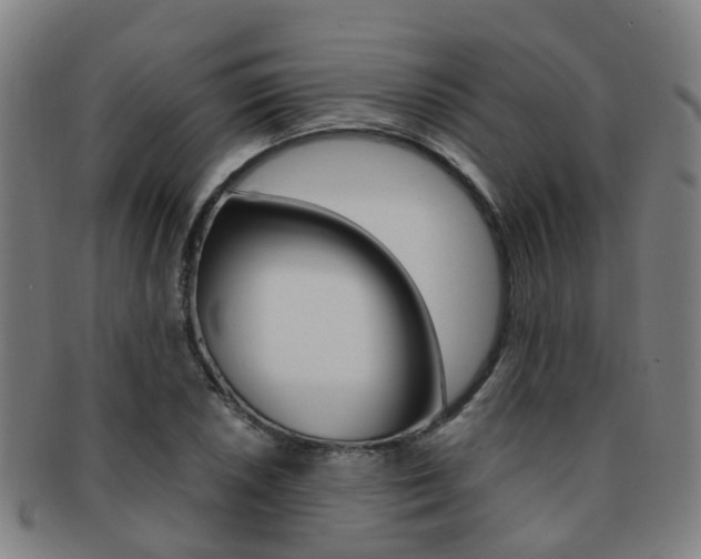 X0000091881026200709051011