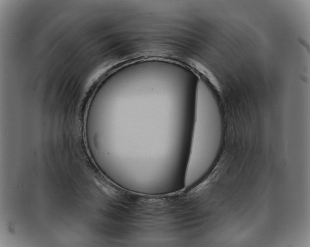 X0000091881027200709051011