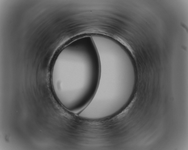 X0000091881029200709051011