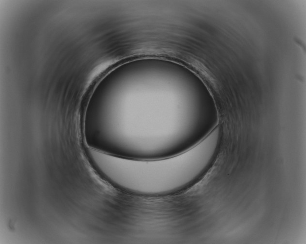 X0000091881030200709051011
