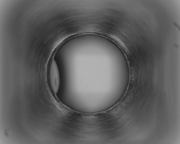 X0000091881031200709051011