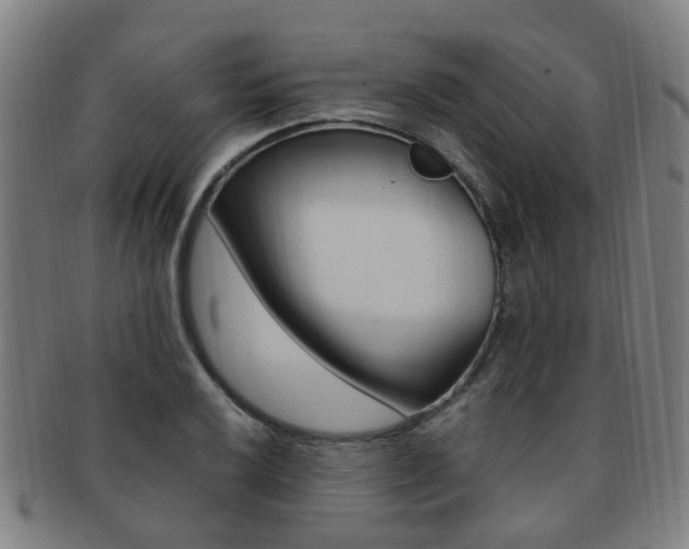 X0000091881032200709051011