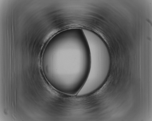 X0000091881034200709051011