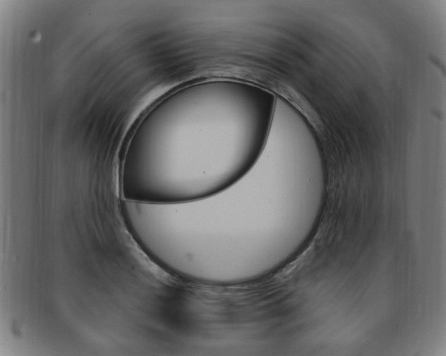 X0000091881036200709051011