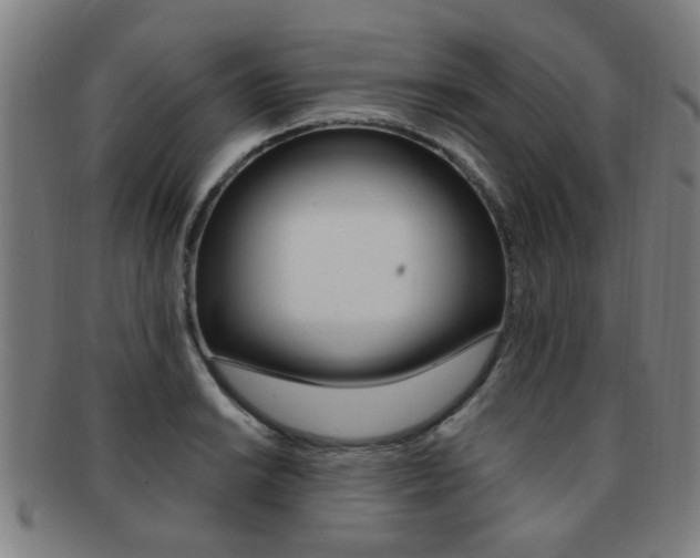 X0000091881038200709051011