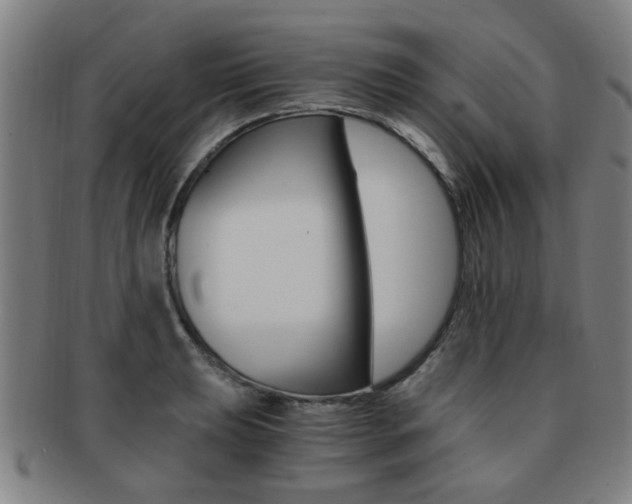 X0000091881039200709051011
