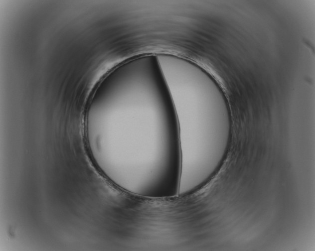 X0000091881040200709051011
