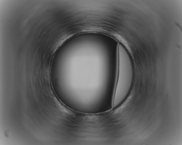 X0000091881041200709051011