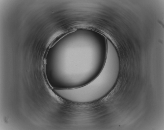 X0000091881042200709051011
