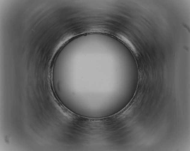 X0000091881043200709051011