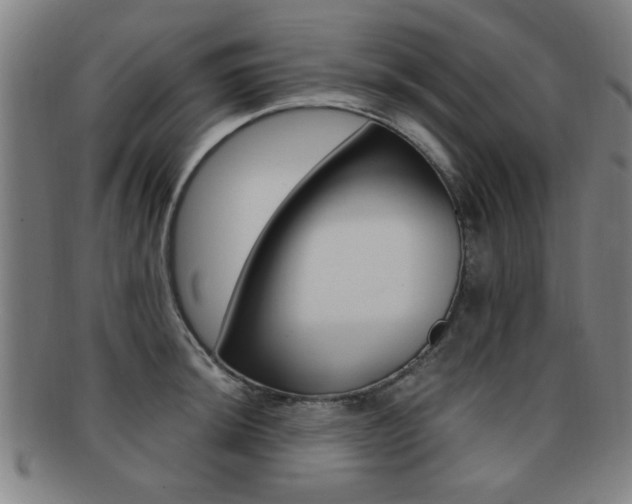 X0000091881044200709051011
