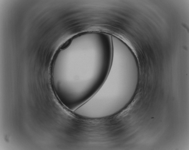 X0000091881045200709051011