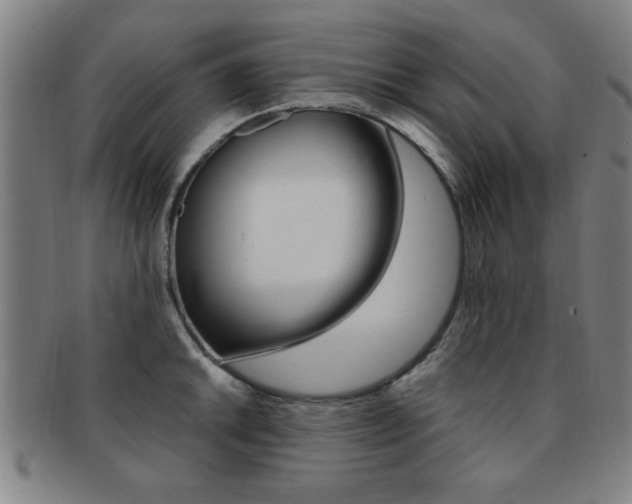 X0000091881046200709051011
