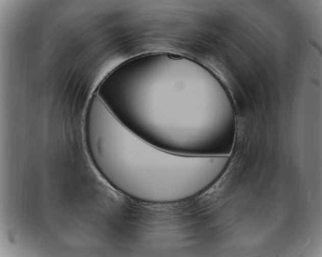 X0000091881048200709051011