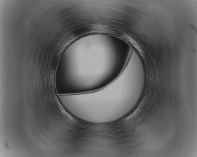 X0000091881049200709051011