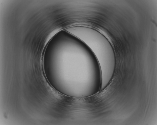 X0000091881050200709051011