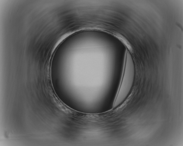 X0000091881052200709051011