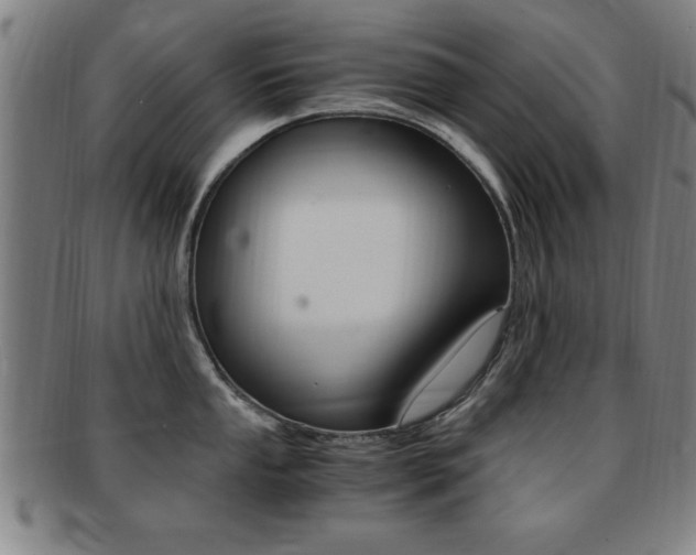 X0000091881053200709051011